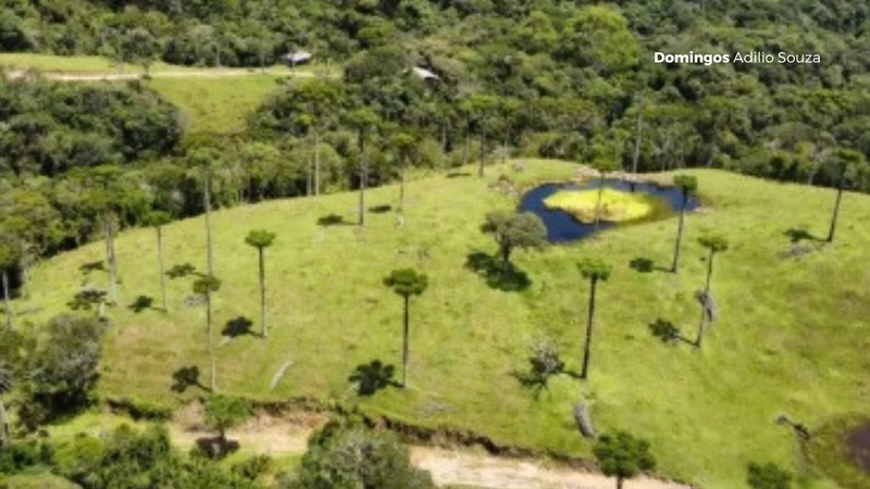 Um Paraíso para Investidores no Mundo da Recreação: 14ª foto da galeria de imagens do imóvel