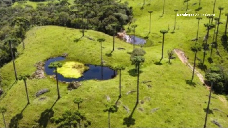 Um Paraíso para Investidores no Mundo da Recreação: 10ª foto da galeria de imagens do imóvel