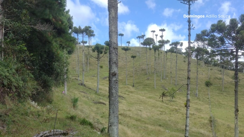 Um Paraíso para Investidores no Mundo da Recreação: 13ª foto da galeria de imagens do imóvel