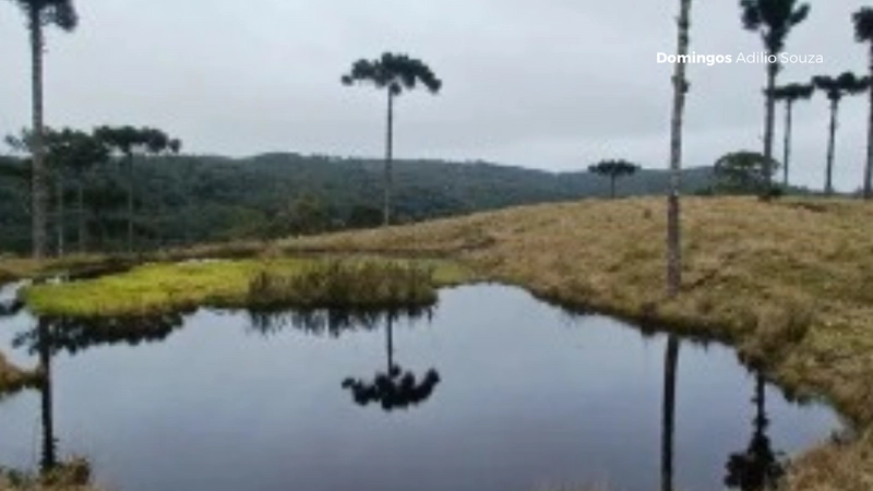 Um Paraíso para Investidores no Mundo da Recreação: 5ª foto da galeria de imagens do imóvel