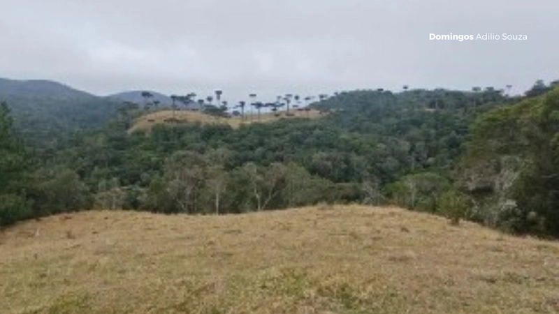 Um Paraíso para Investidores no Mundo da Recreação: 7ª foto da galeria de imagens do imóvel