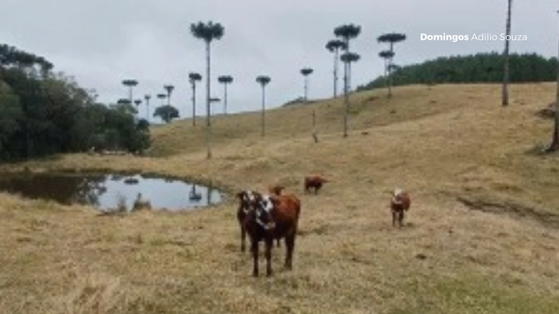 Um Paraíso para Investidores no Mundo da Recreação: 4ª foto da galeria de imagens do imóvel