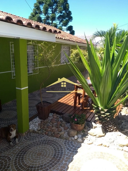 VENDA OU TROCA  CASA POR CHACARA EM BAIRAOS / ROSEIRA , SANTA GEMA.: 31ª foto da galeria de imagens do imóvel