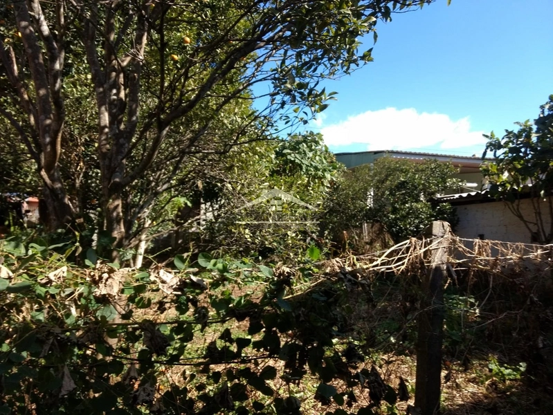 Casa ampla e espaçosa, ideal para quem busca conforto, praticidade e u: 7ª foto da galeria de imagens do imóvel