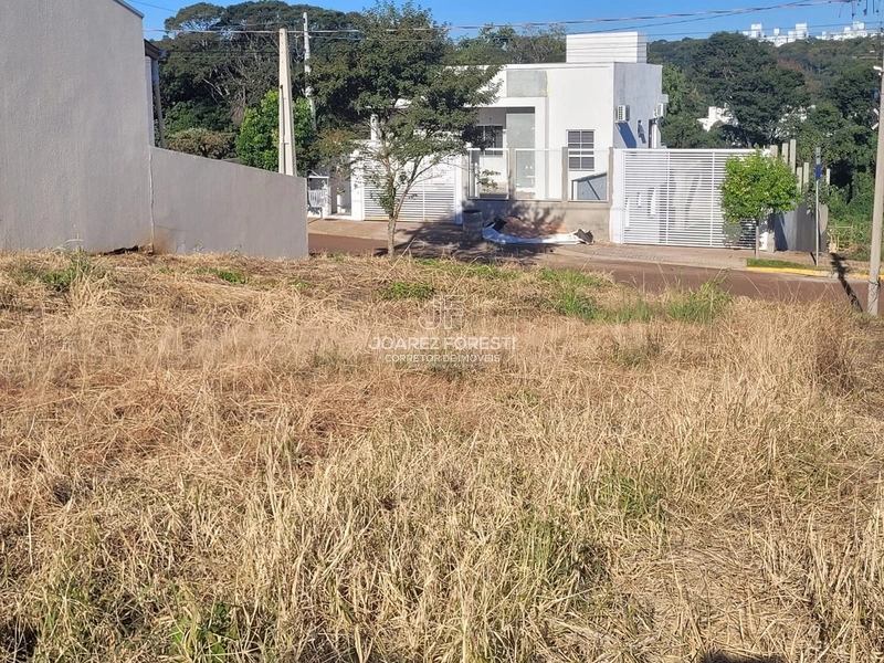 Terreno a venda no Bairro Desbravador: 1ª foto da galeria de imagens do imóvel