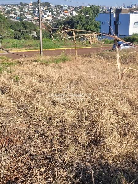 Terreno a venda no Bairro Desbravador: 3ª foto da galeria de imagens do imóvel
