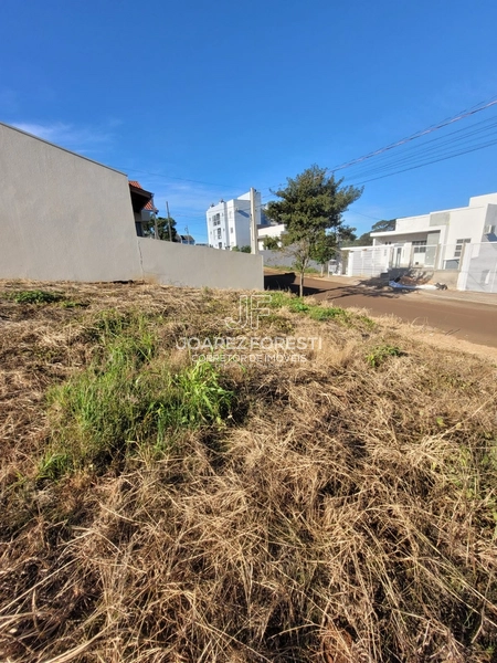 Terreno a venda no Bairro Desbravador: 6ª foto da galeria de imagens do imóvel
