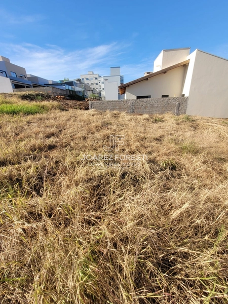 Terreno a venda no Bairro Desbravador: 7ª foto da galeria de imagens do imóvel