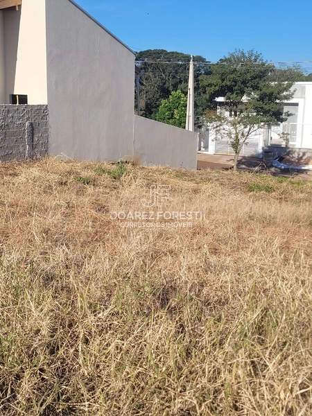 Terreno a venda no Bairro Desbravador: 4ª foto da galeria de imagens do imóvel
