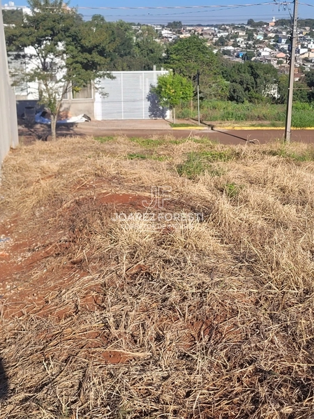 Terreno a venda no Bairro Desbravador: 2ª foto da galeria de imagens do imóvel