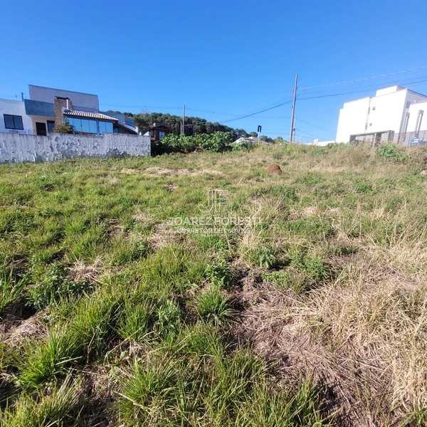 Terreno no Bairro Desbravador: 4ª foto da galeria de imagens do imóvel
