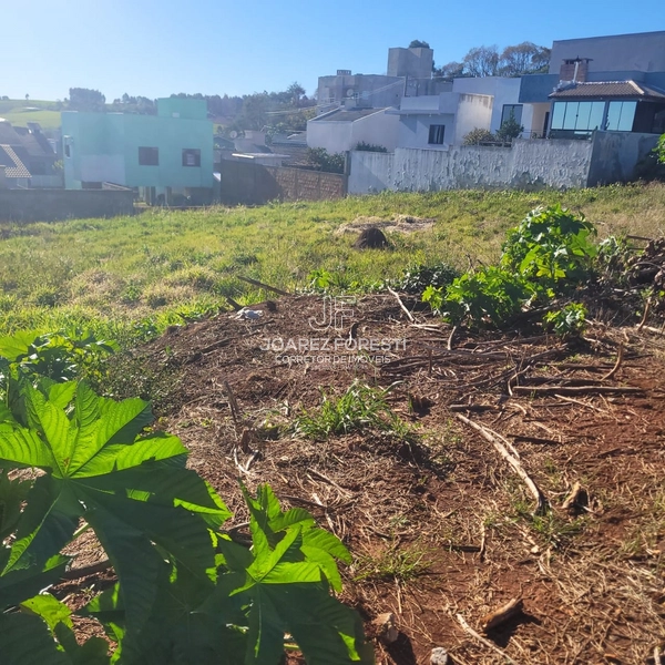 Terreno no Bairro Desbravador: 5ª foto da galeria de imagens do imóvel