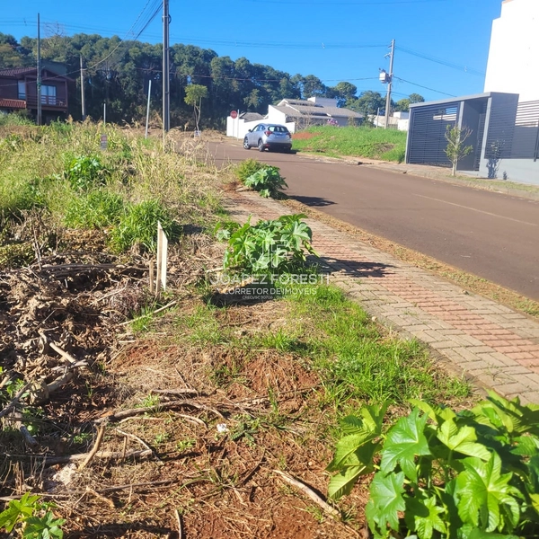 Terreno no Bairro Desbravador: 2ª foto da galeria de imagens do imóvel