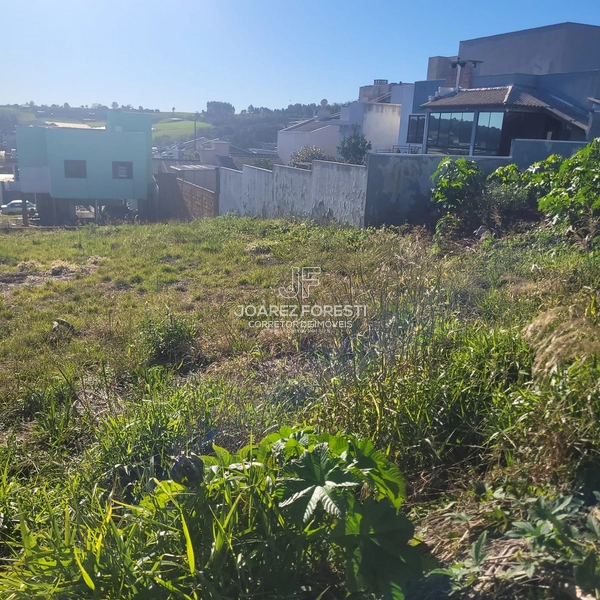 Terreno no Bairro Desbravador: 3ª foto da galeria de imagens do imóvel