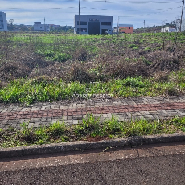 Terreno plano pronto para construir: 4ª foto da galeria de imagens do imóvel