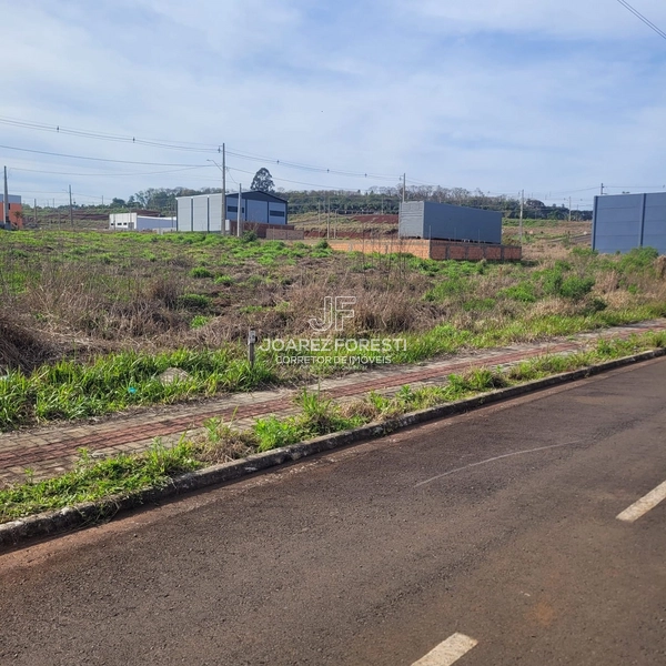 Terreno plano pronto para construir: 3ª foto da galeria de imagens do imóvel
