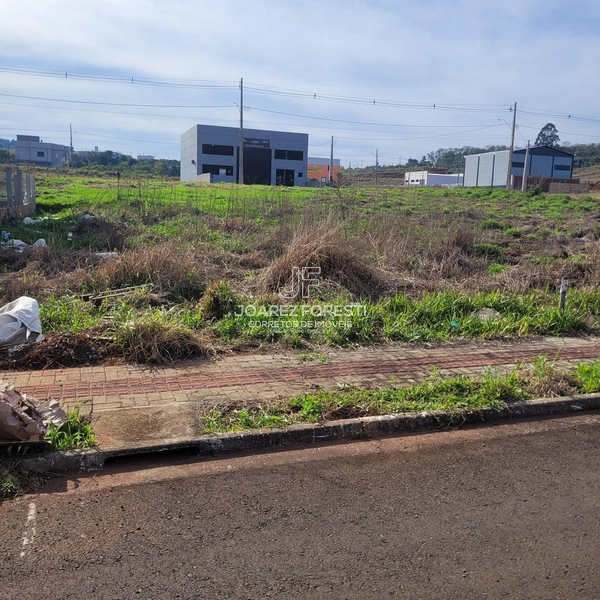 Terreno plano pronto para construir: 2ª foto da galeria de imagens do imóvel