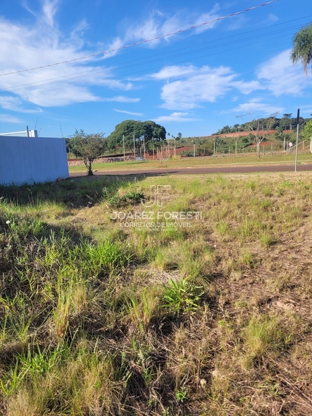 Terreno Bairro Santos Dumont em Chapecó sc: 4ª foto da galeria de imagens do imóvel