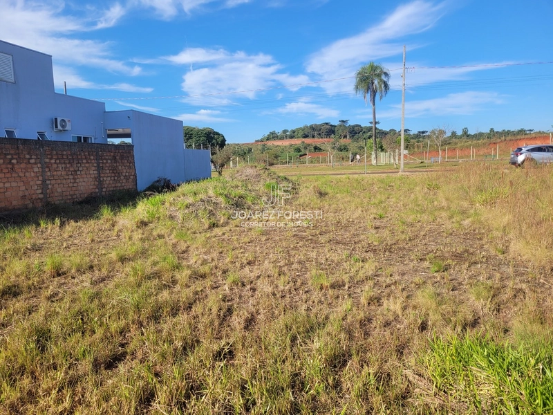 Terreno Bairro Santos Dumont em Chapecó sc: 6ª foto da galeria de imagens do imóvel