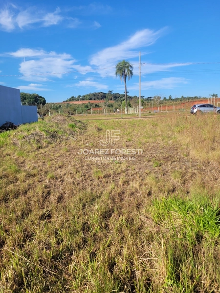 Terreno Bairro Santos Dumont em Chapecó sc: 3ª foto da galeria de imagens do imóvel