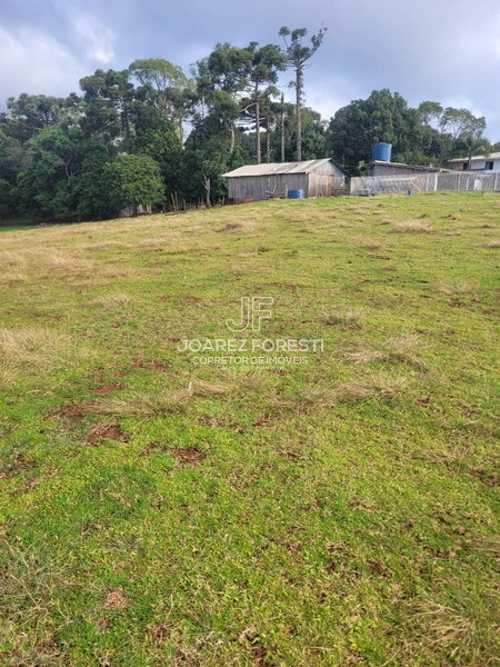 Chácara próximo da Cidade de Chapecó sc.: 2ª foto da galeria de imagens do imóvel