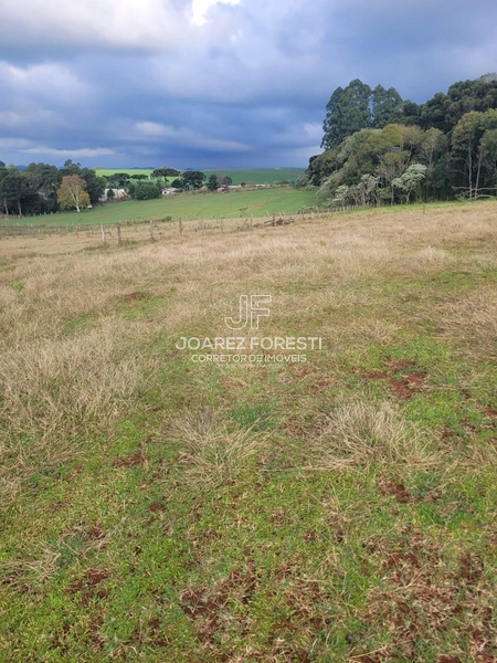 Chácara próximo da Cidade de Chapecó sc.: 4ª foto da galeria de imagens do imóvel