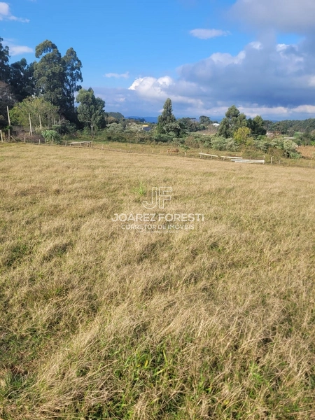 Chácara próximo da Cidade de Chapecó sc.: 6ª foto da galeria de imagens do imóvel