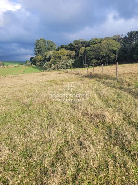 Chácara próximo da Cidade de Chapecó sc.: 7ª foto da galeria de imagens do imóvel