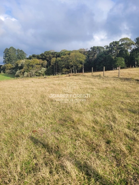 Chácara próximo da Cidade de Chapecó sc.: 8ª foto da galeria de imagens do imóvel