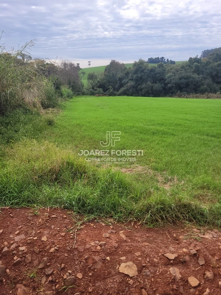 Área de terra excelente para construir empresa: 4ª foto da galeria de imagens do imóvel