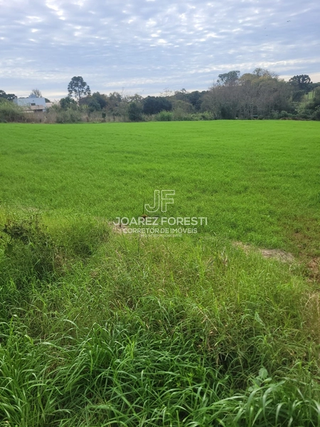 Área de terra excelente para construir empresa: 2ª foto da galeria de imagens do imóvel