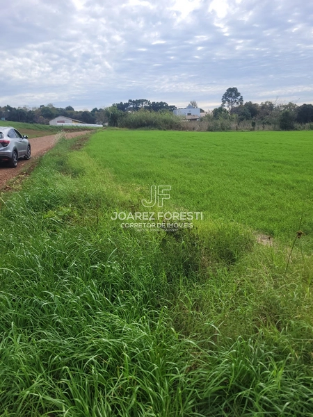 Área de terra excelente para construir empresa: 3ª foto da galeria de imagens do imóvel
