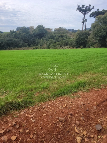 Área de terra excelente para construir empresa: 5ª foto da galeria de imagens do imóvel