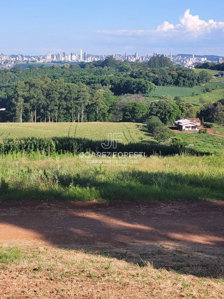 Àrea de terra para empresa ou condominio fechado 20.000 m²: 5ª foto da galeria de imagens do imóvel
