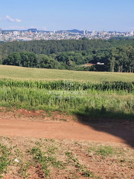 Àrea de terra para empresa ou condominio fechado 20.000 m²: 2ª foto da galeria de imagens do imóvel