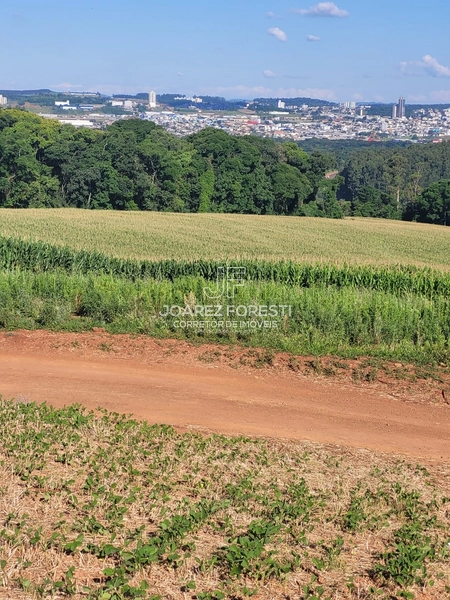 Àrea de terra para empresa ou condominio fechado 20.000 m²: 4ª foto da galeria de imagens do imóvel