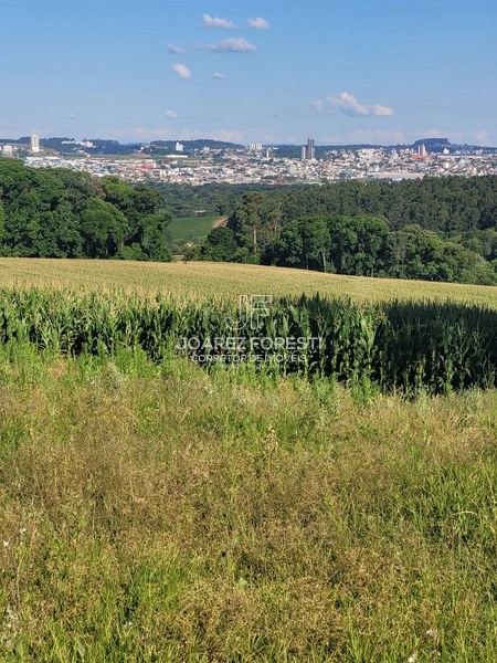 Àrea de terra para empresa ou condominio fechado 20.000 m²: 3ª foto da galeria de imagens do imóvel