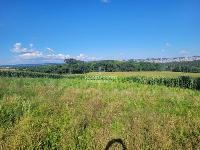 Àrea de terra para empresa ou condominio fechado 20.000 m²: 1ª foto da galeria de imagens do imóvel