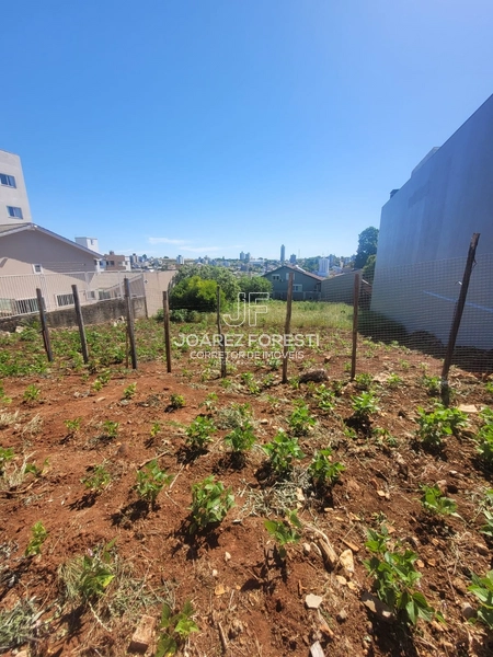 Terreno a venda no Bairro Santa Maria em Chapecó sc: 4ª foto da galeria de imagens do imóvel