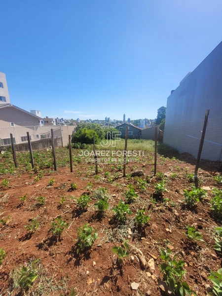 Terreno a venda no Bairro Santa Maria em Chapecó sc: 3ª foto da galeria de imagens do imóvel