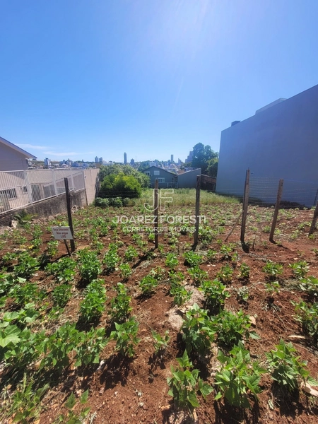 Terreno a venda no Bairro Santa Maria em Chapecó sc: 5ª foto da galeria de imagens do imóvel