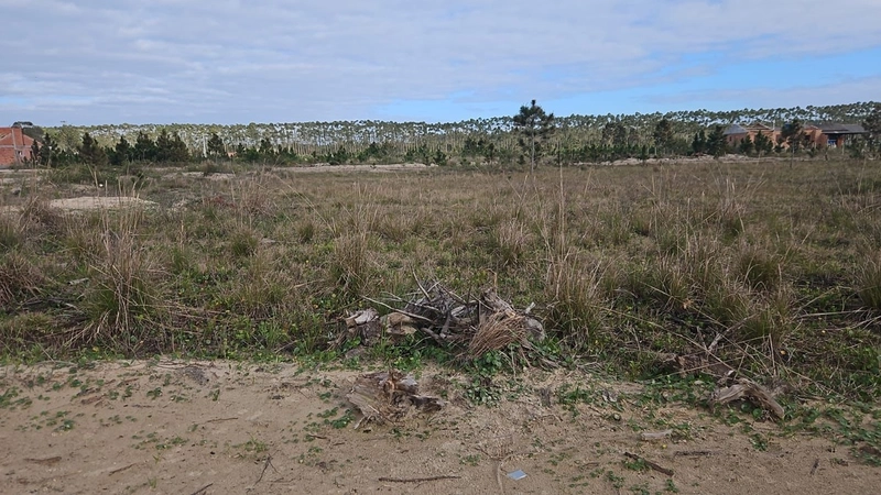 Terreno no Sulmar – Oportunidade de Investimento: 1ª foto da galeria de imagens do imóvel