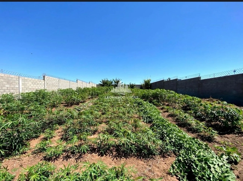 CHACARA DISPONÍVEL PARA VENDA DE 1000M² NO ECOPARK: 6ª foto da galeria de imagens do imóvel