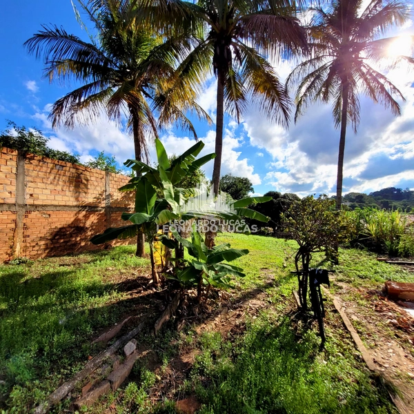 TERRENO DE 816 M² DISPONÍVEL PARA VENDA NO BAIRRO JARDIM PAINEIRAS: 7ª foto da galeria de imagens do imóvel