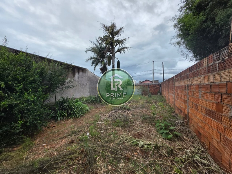 TERRENO DE 212,56 M² À VENDA NO PAINEIRAS – R$ 120 MIL: 6ª foto da galeria de imagens do imóvel