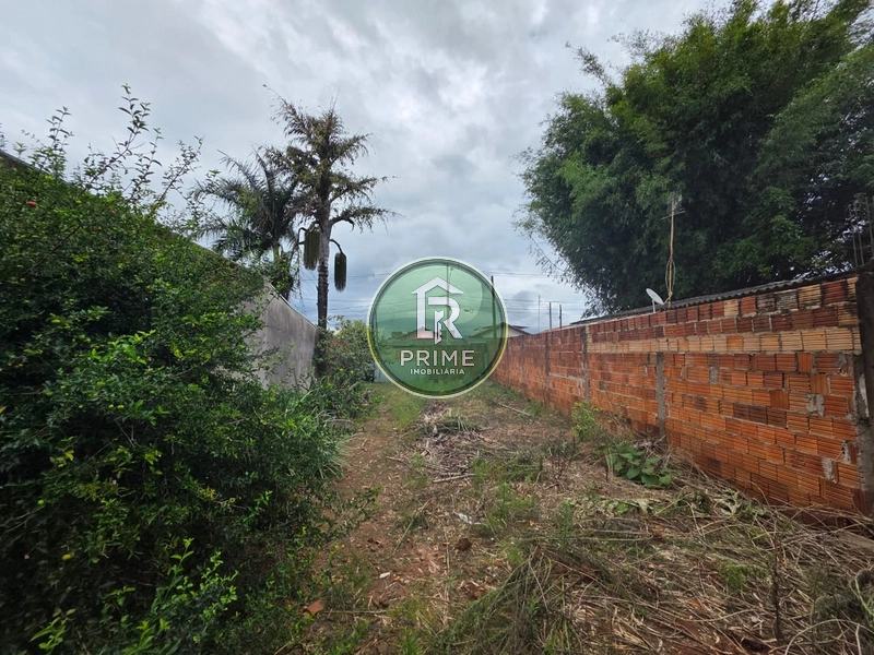TERRENO DE 212,56 M² À VENDA NO PAINEIRAS – R$ 120 MIL: 4ª foto da galeria de imagens do imóvel