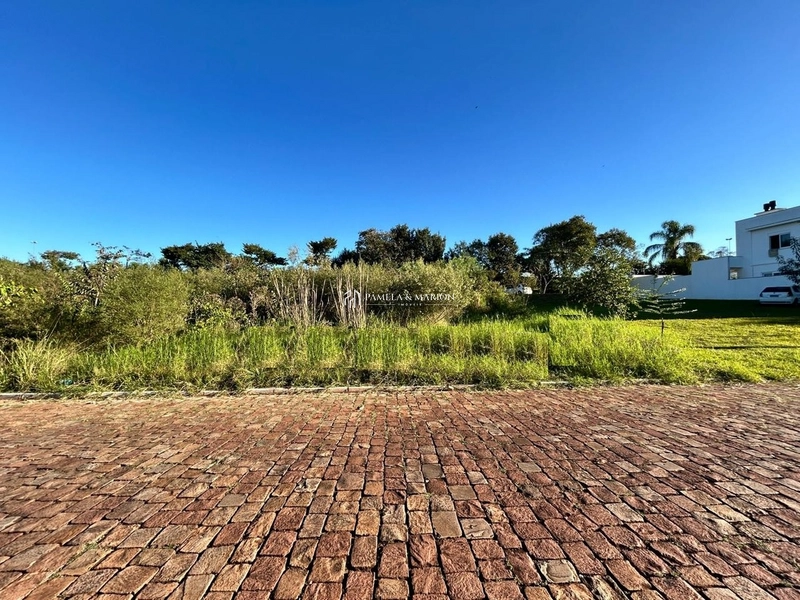 TERRENO: 1ª foto da galeria de imagens do imóvel