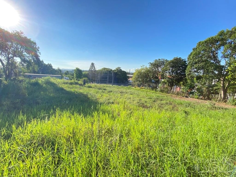 TERRENO COMERCIAL: 3ª foto da galeria de imagens do imóvel