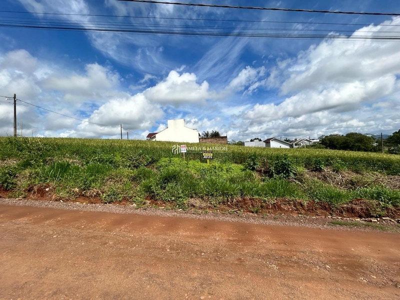 TERRENO COMERCIAL: 1ª foto da galeria de imagens do imóvel