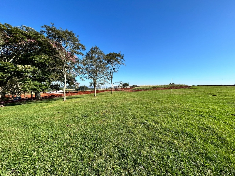 TERRENO: 9ª foto da galeria de imagens do imóvel